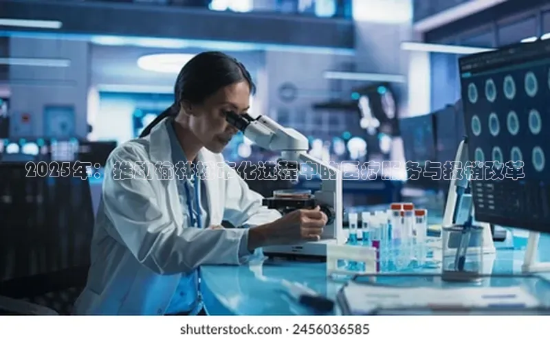 3377体育网站平台登录