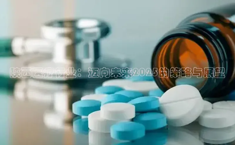 3377体育官网入口网页版