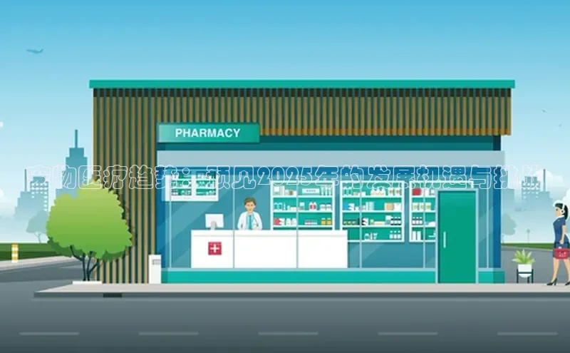 3377体育官网入口网页版