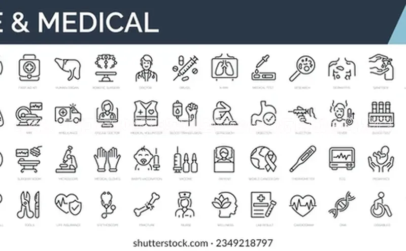 3377体育网站平台登录