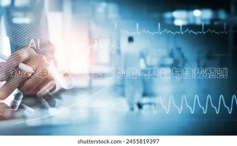 3377体育网页入口