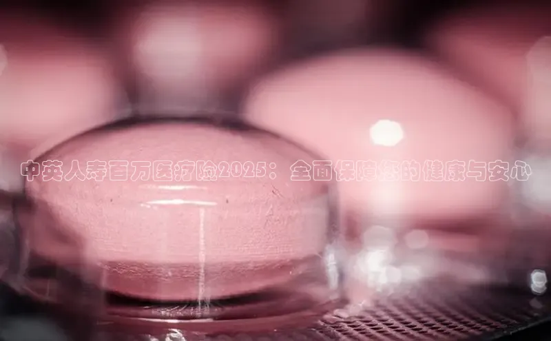 3377体育官方在线登录入口