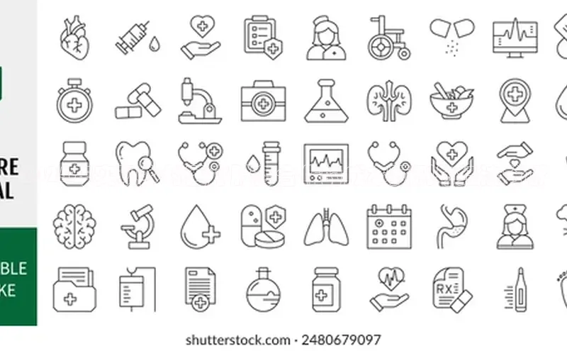 3377体育官网入口网页版
