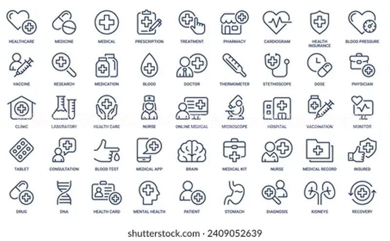3377体育网页入口