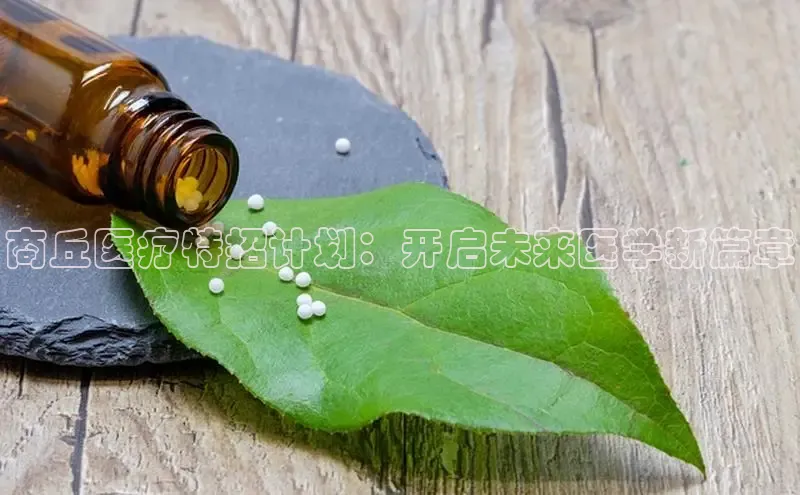 3377体育网站平台登录