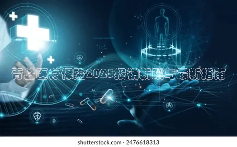 3377体育app登录入口手机版