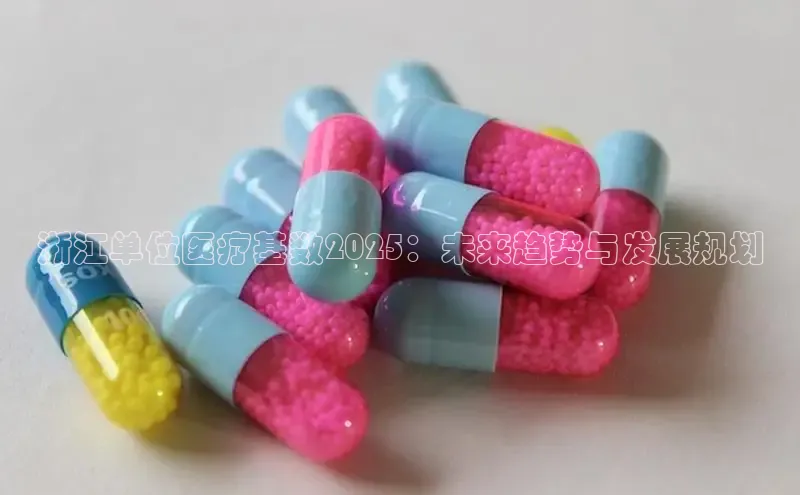 3377体育