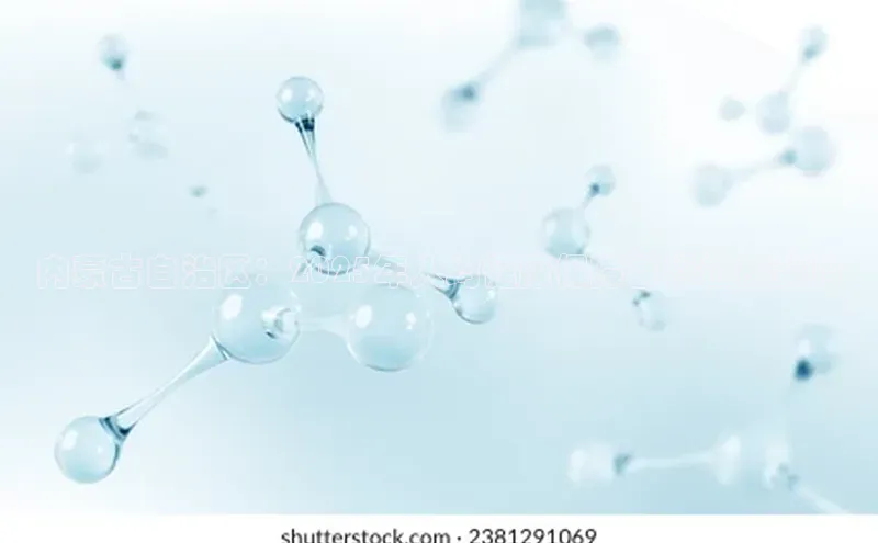 3377体育电子
